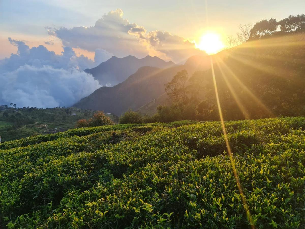 Hill Safari - Tea Estate Villa オヒヤ エクステリア 写真