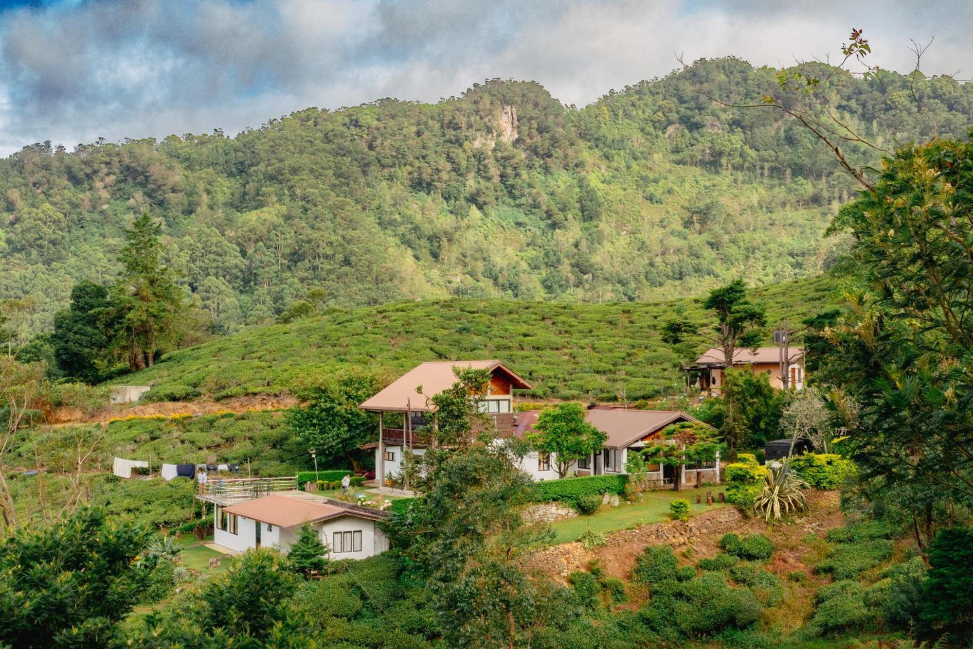 Hill Safari - Tea Estate Villa オヒヤ エクステリア 写真