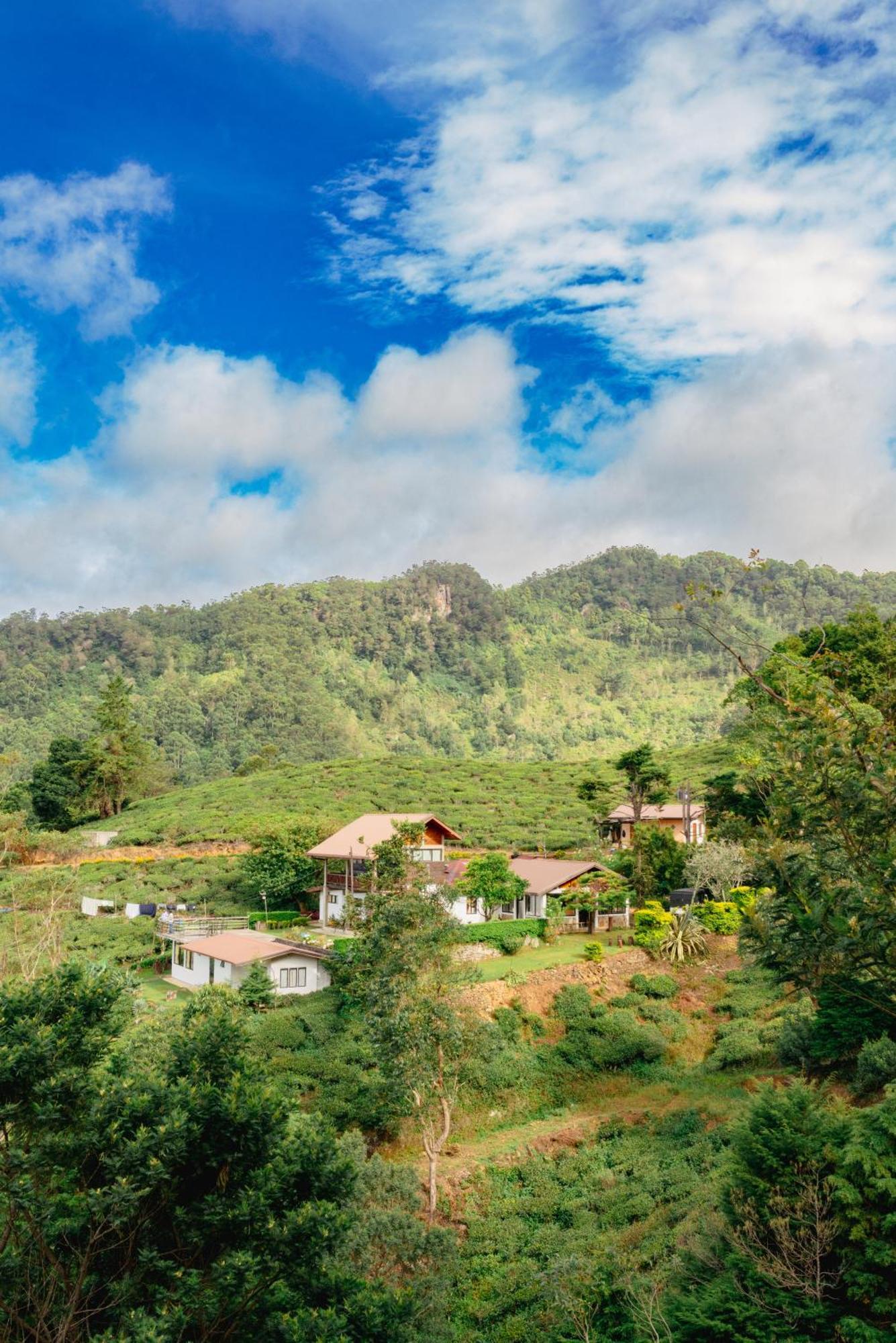 Hill Safari - Tea Estate Villa オヒヤ エクステリア 写真