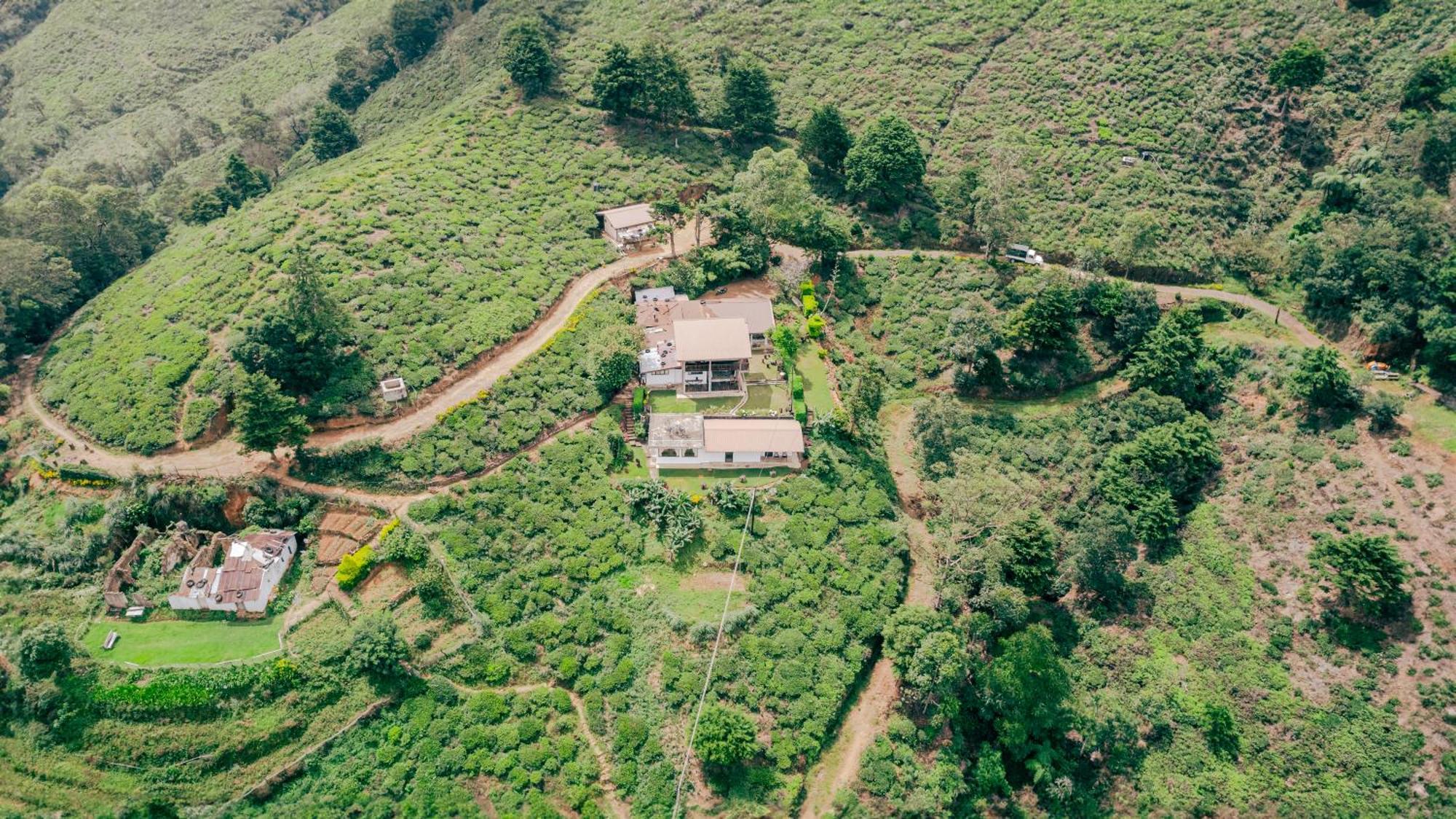 Hill Safari - Tea Estate Villa オヒヤ エクステリア 写真