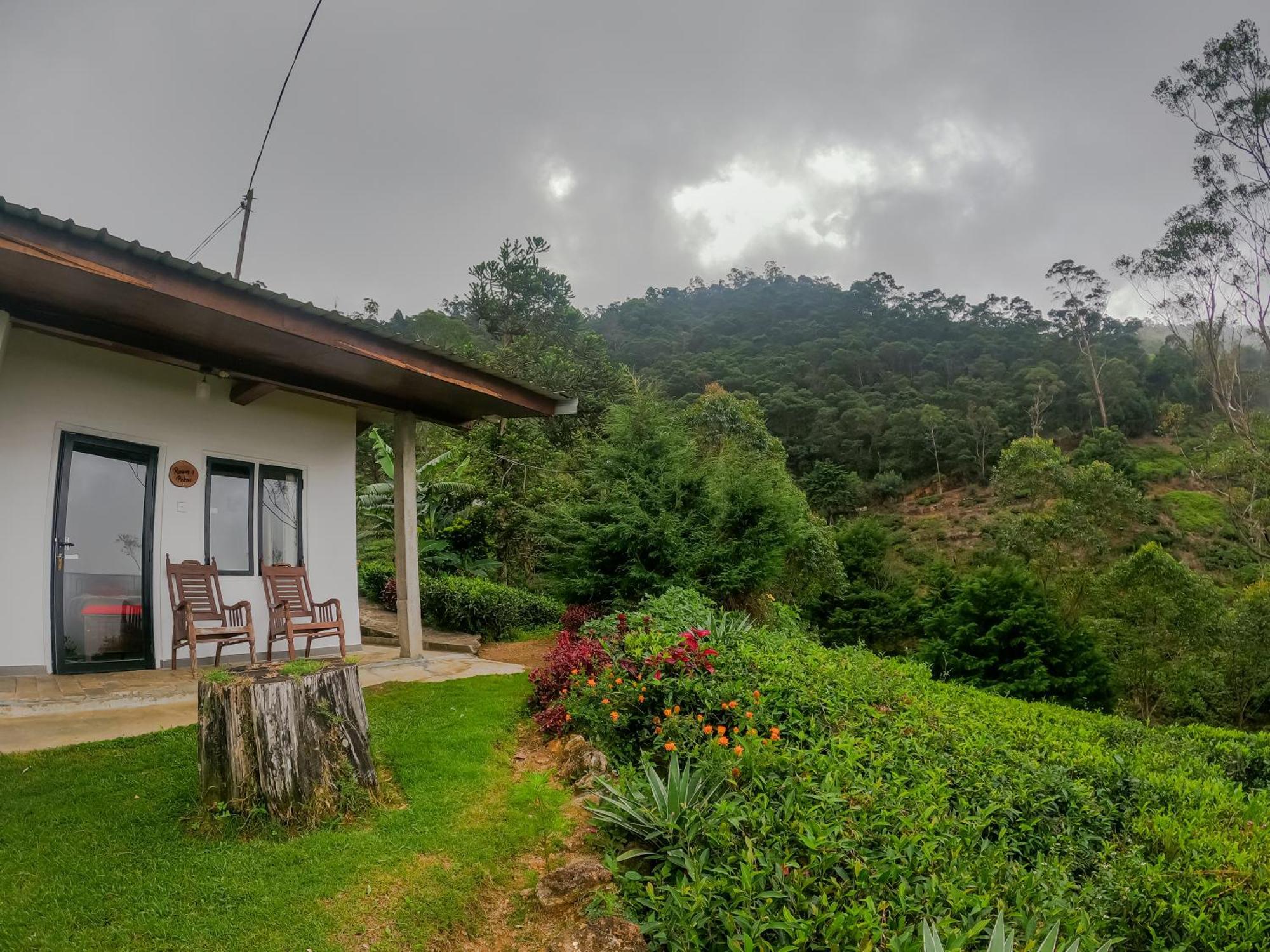 Hill Safari - Tea Estate Villa オヒヤ エクステリア 写真