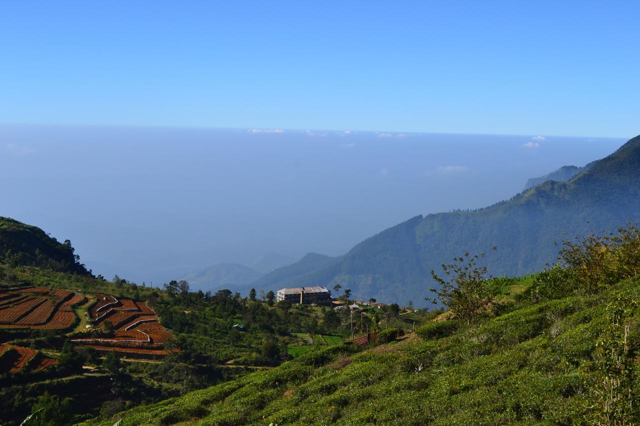 Hill Safari - Tea Estate Villa オヒヤ エクステリア 写真